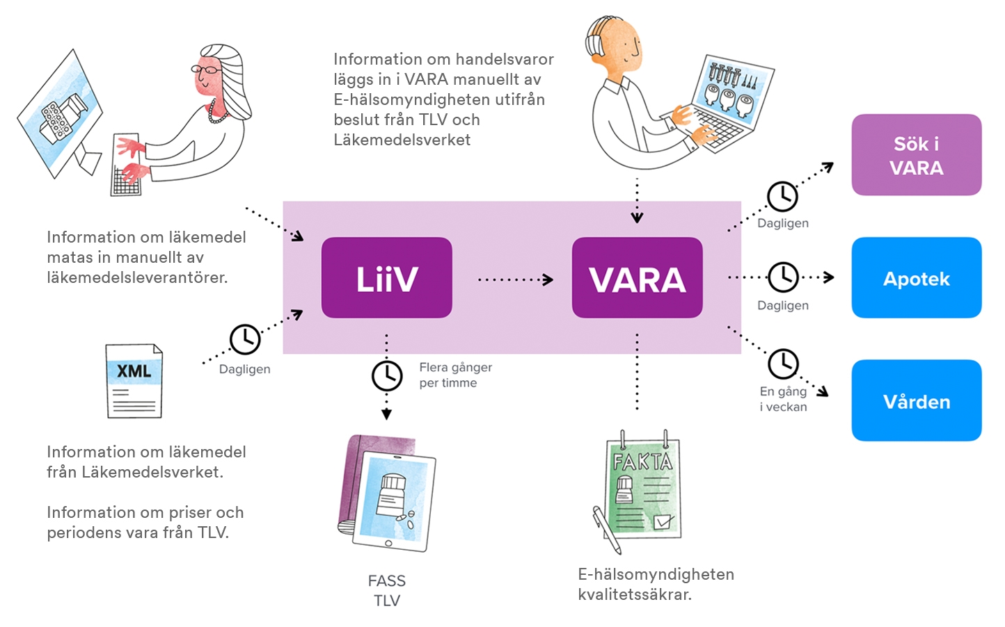 Grafisk översikt för hur läkemedelsinformationen går från läkemedelsföretagen via LiiV och VARA för att slutligen användas av vården och apoteken.